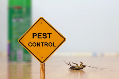 Pest Contol in Islington, Barnsbury, Canonbury, N1. Call Now 020 8166 9746